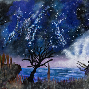 Mystical Fairy Star Night | An Unseen World