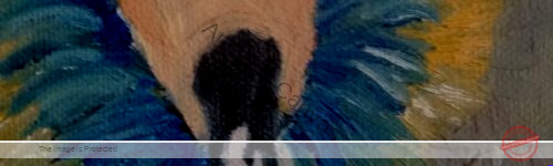 Special Angelic Observer; What The Heart Feels