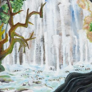 A Majestic Place: Montana Waterfall Beauty