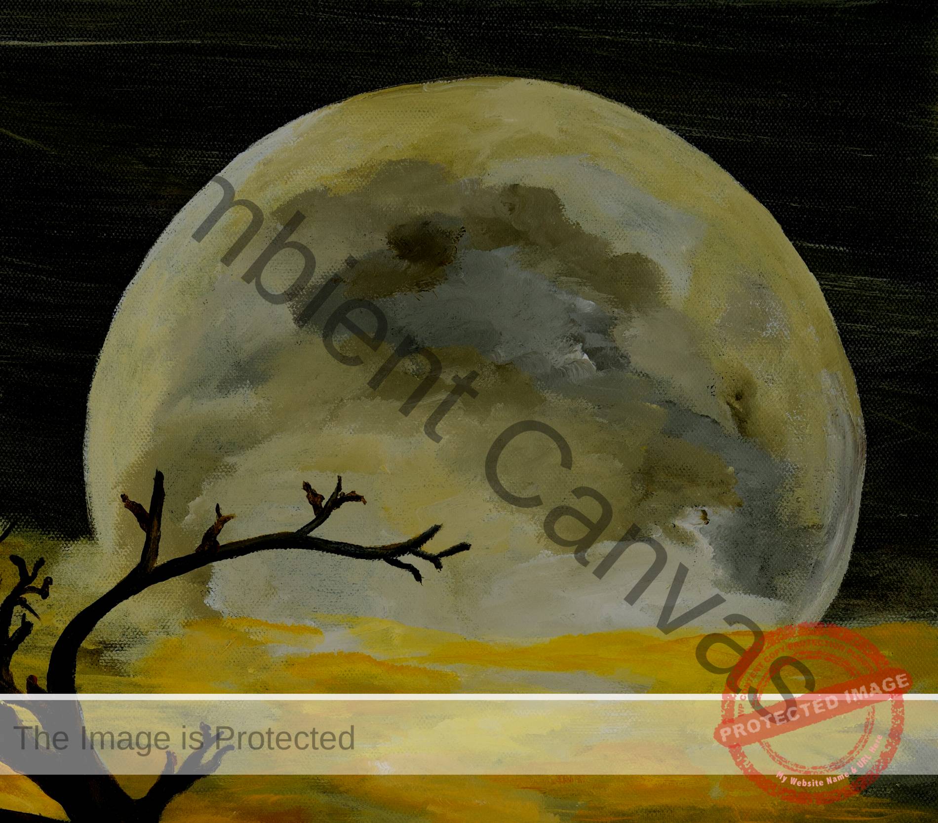 Life Spring | The Composition - Header - Center Panel