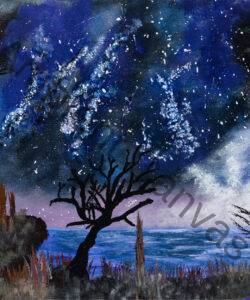 The Fairy Star Night | Unseen Mystical World