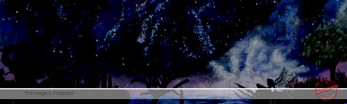 The Fairy Star Night | Unseen Mystical World