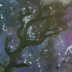 Mystical Fairy Star Night | An Unseen World