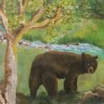 #Bear Focus | Big Bear In The Valley | Grand Tetons, Wyoming | Ambient Canvas