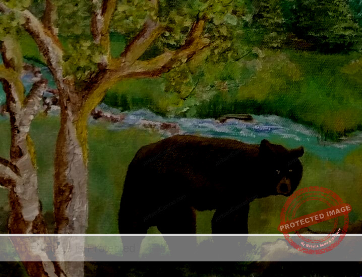 Bear Focus | Big Bear In The Valley | Grand Tetons, Wyoming | Ambient Canvas #Bear Focus | Big Bear In The Valley | Grand Tetons, Wyoming | Ambient Canvas