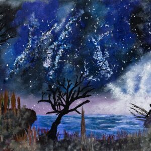 A Fairy Star Night || Giclée Print | Black Frame